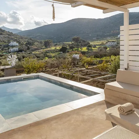 Anneta's House - Cycladic With Pool , Apartament *