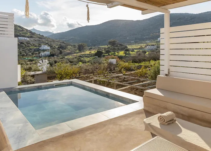 Anneta's House - Cycladic With Pool , Apartment *